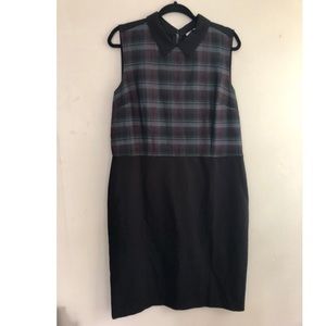 Ann Taylor LOFT Peter Pan Collar Sheath Dress